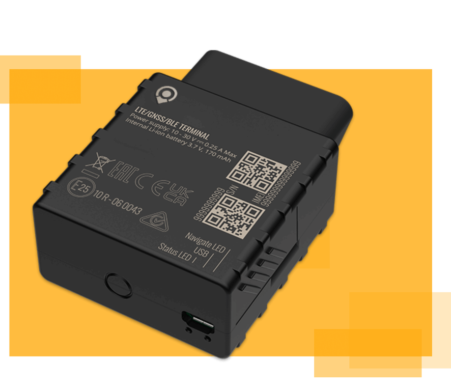 collection item image