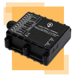 collection item image