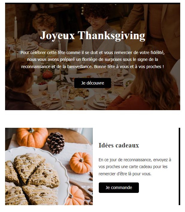 Exemple de newsletter