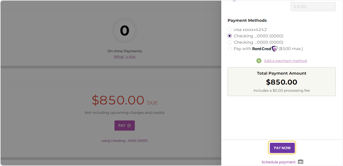 Review the Total Payment Amount and click 'Pay Now'.