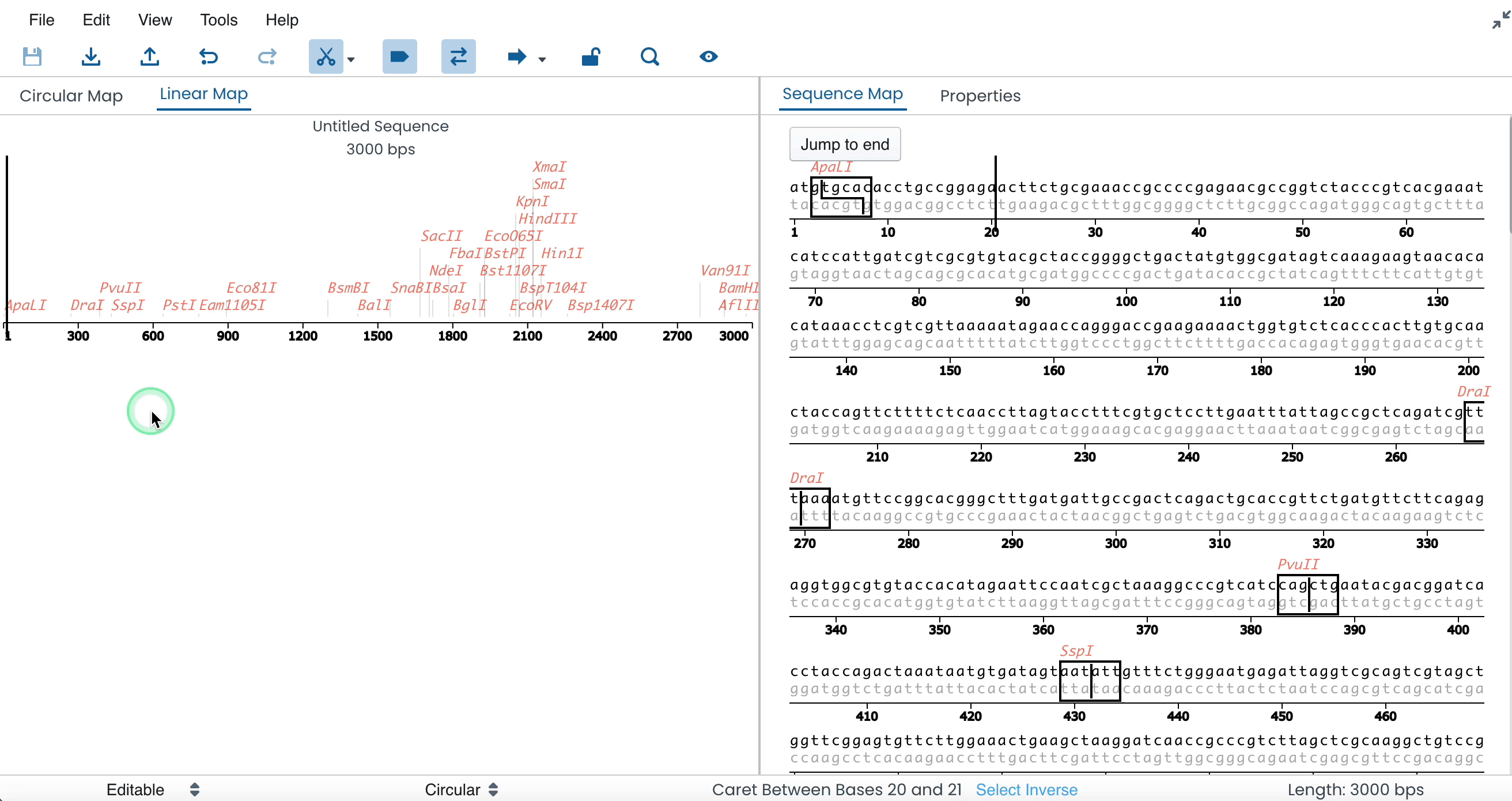 A GIF showing how to export a sequence