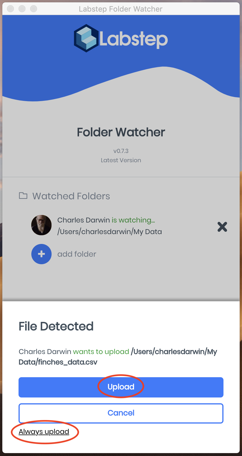 A screenshot showing what will be prompted when a file is detected
