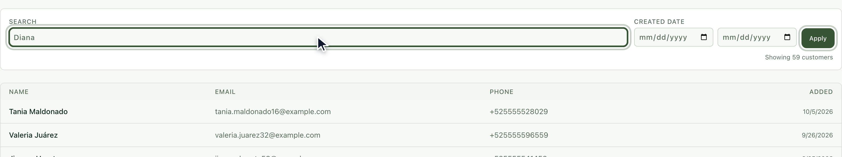 Customer search with the word Diana