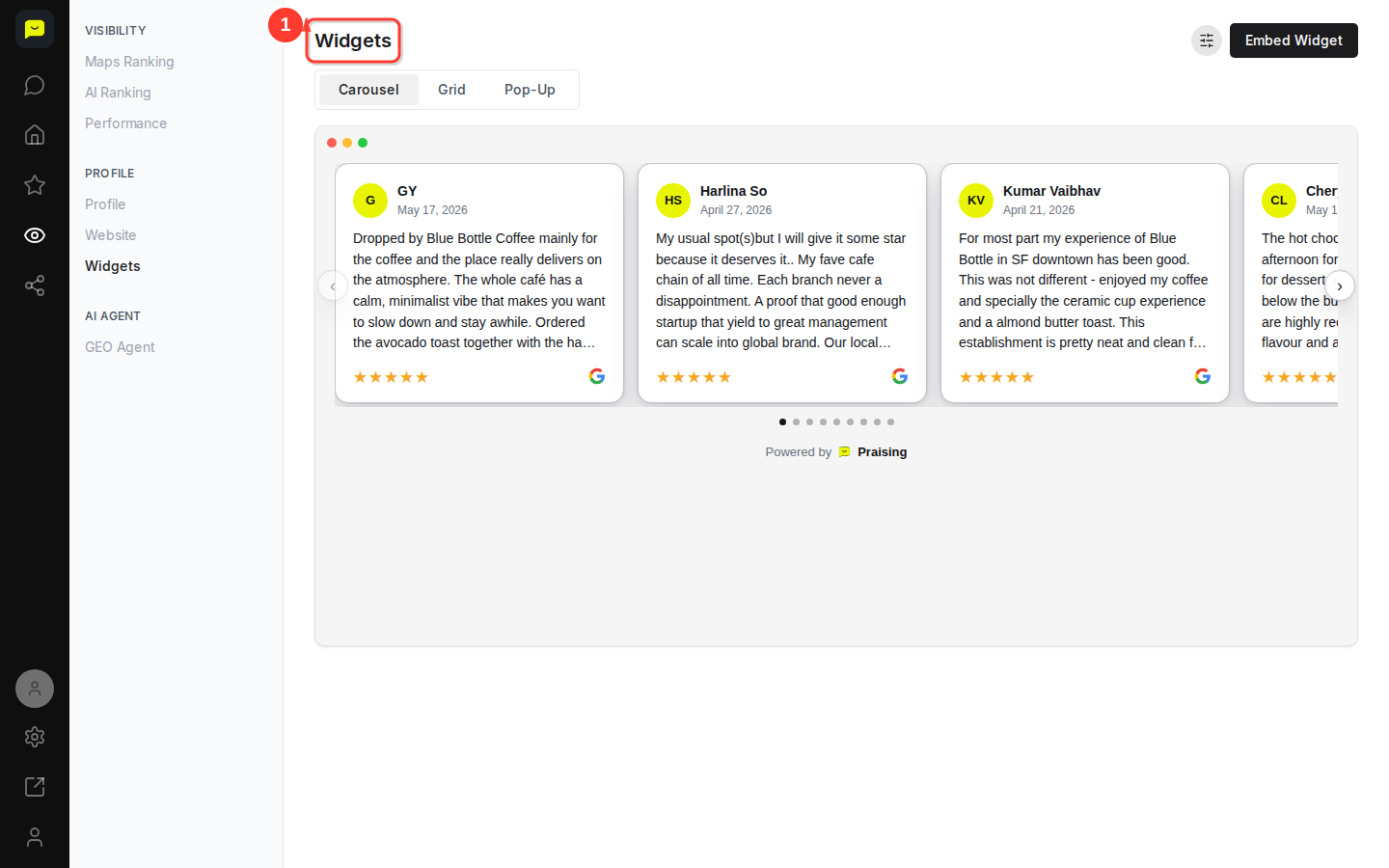 The Widgets page, opened from Visibility in the left-hand navigation