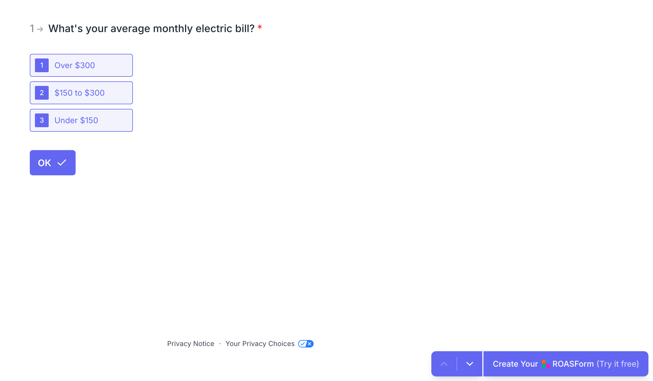 The Privacy Notice and Your Privacy Choices footer at the bottom of a TypeSkin form