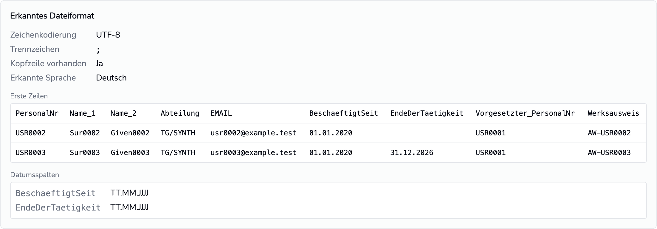 Nach der Dateiauswahl zeigt Erkanntes Dateiformat Zeichenkodierung, Trennzeichen und Datumsspalten.